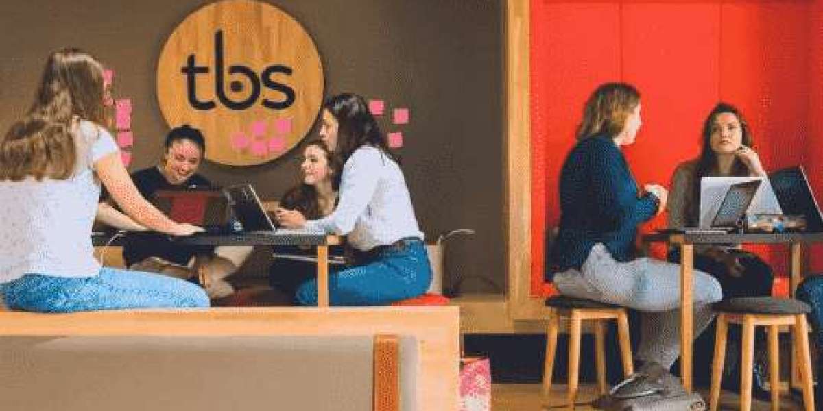 DBA 是什么项目？一文读懂图卢兹商学院工商管理博士的核心价值