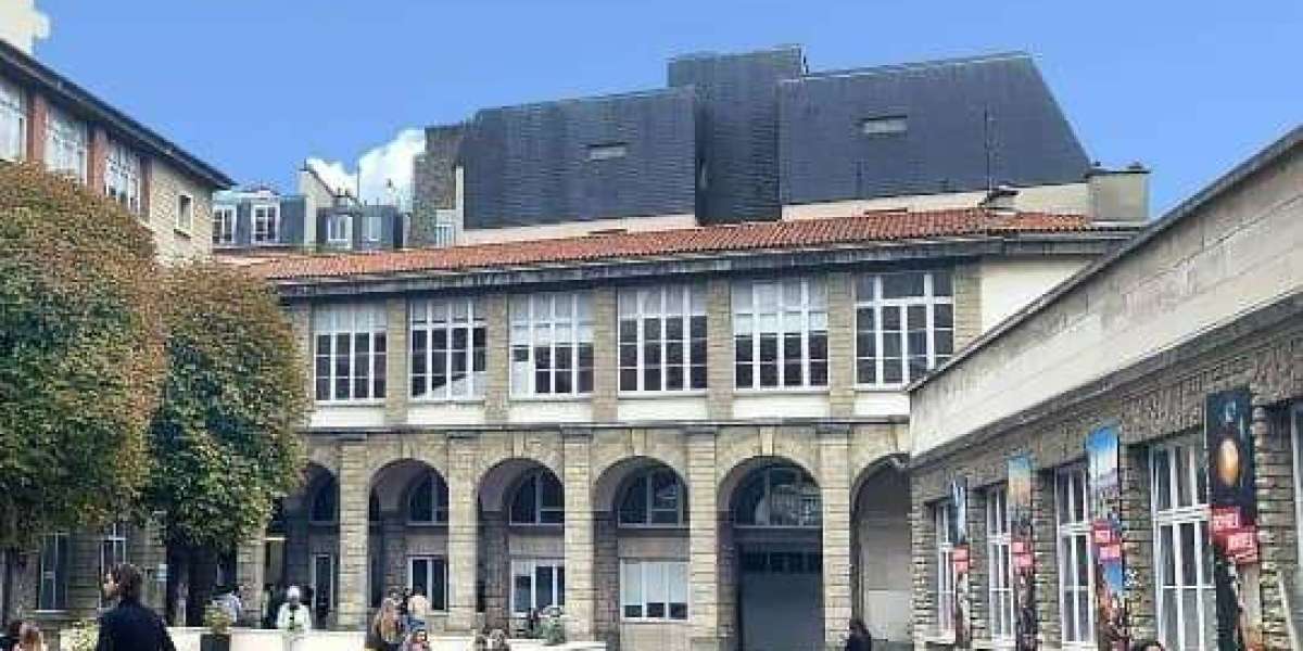 2026法国留学就业现状及图卢兹商学院的职场竞争力分析