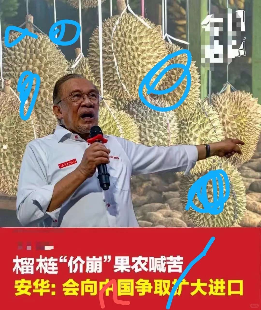 大马猫山王丰收，不知味道如何
看到马来西亚的榴莲丰收，价格却跌了不少，大家要不要支持一下呢#猫山王榴莲 #助农