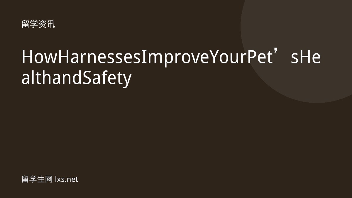 How Harnesses Improve Your Pet’s Health and Safety