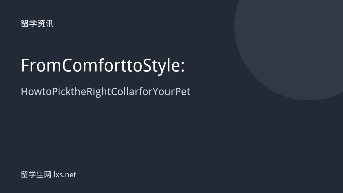 From Comfort to Style: How to Pick the Right Collar for Your Pet