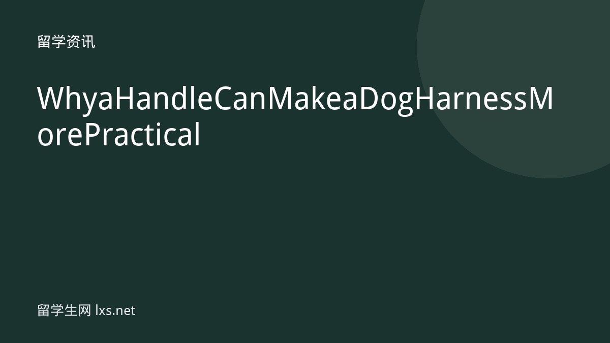 Why a Handle Can Make a Dog Harness More Practical