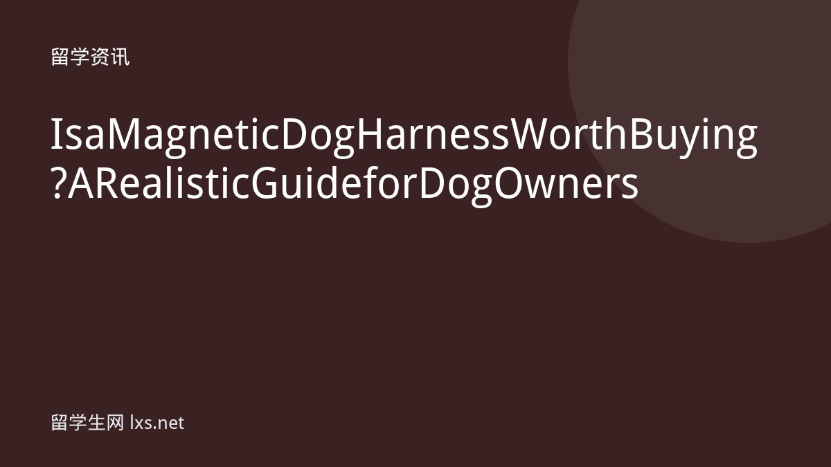 Is a Magnetic Dog Harness Worth Buying? A Realistic Guide for Dog Owners
