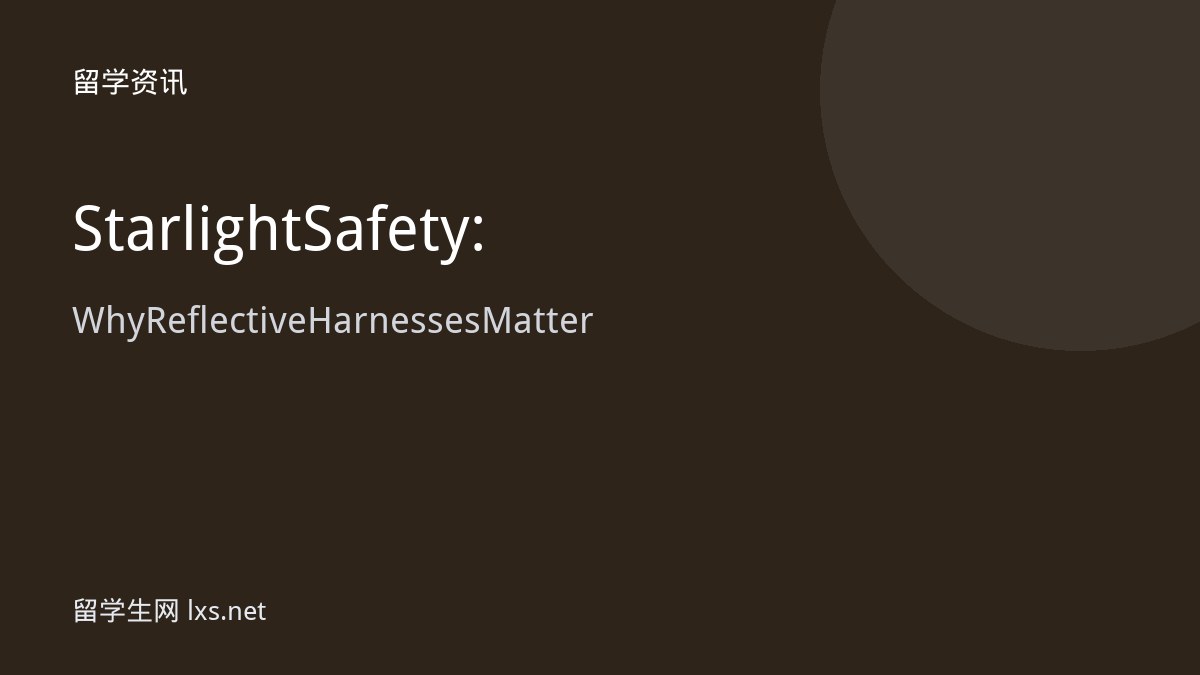 Starlight Safety: Why Reflective Harnesses Matter