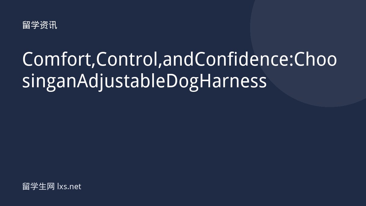 Comfort, Control, and Confidence: Choosing an Adjustable Dog Harness