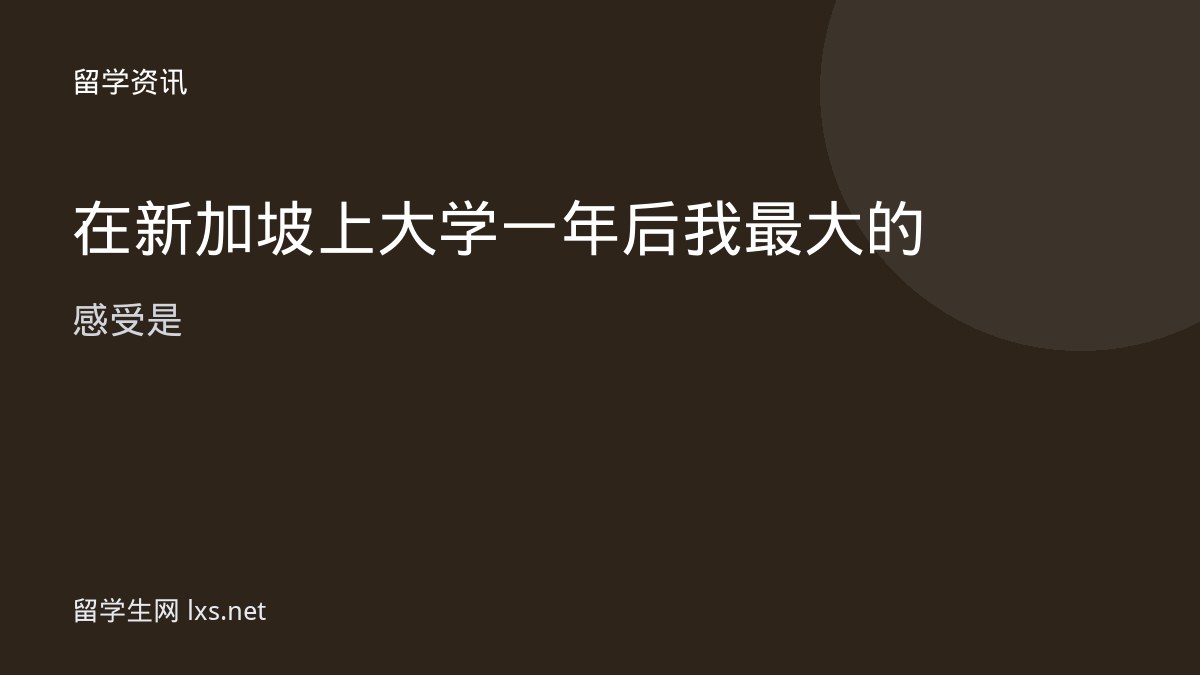 在新加坡上大学一年后我最大的感受是