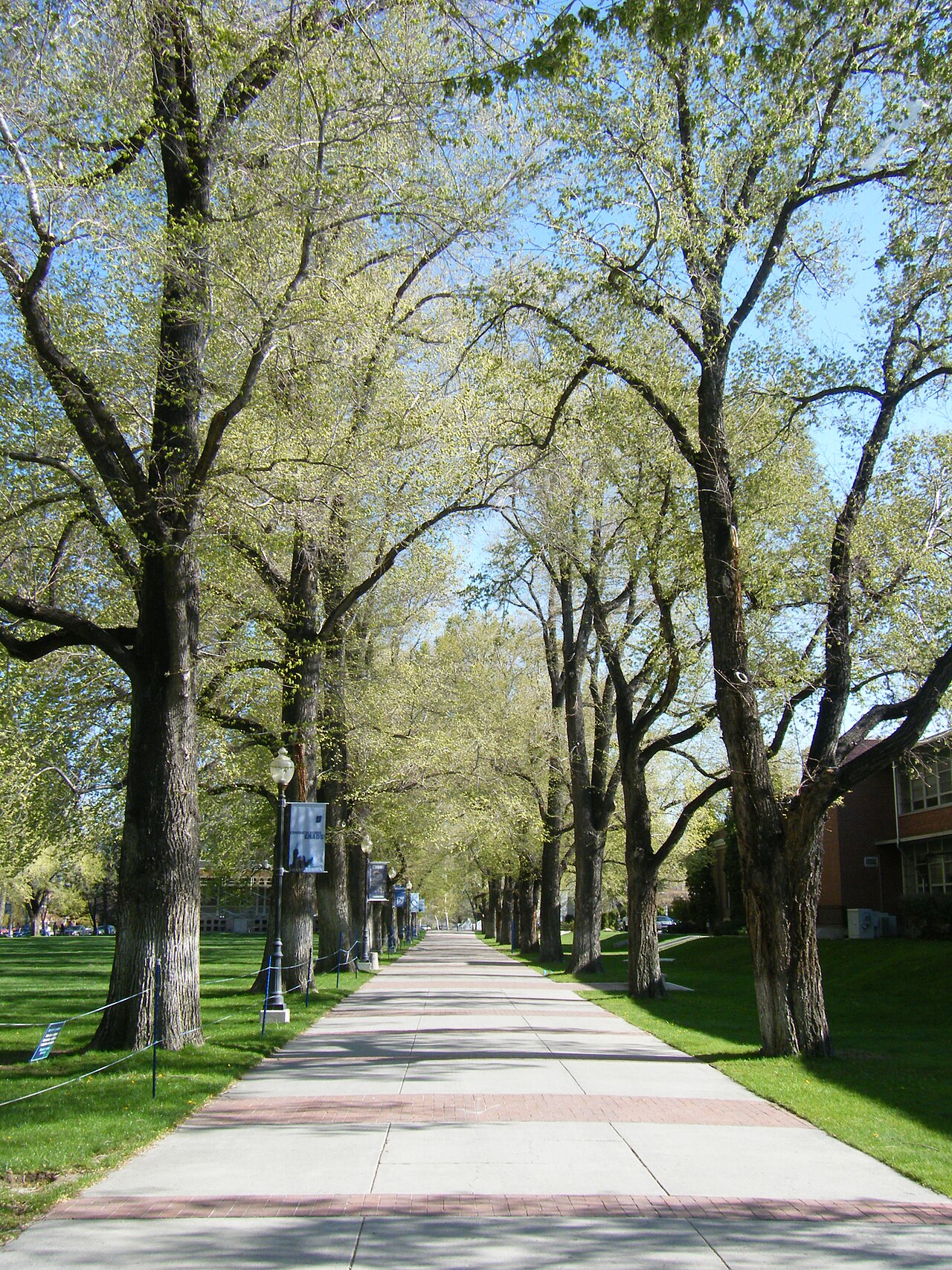Unr campus
