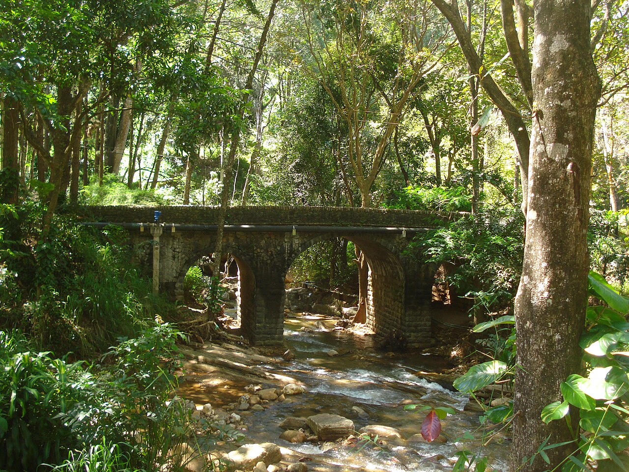 A Bridge Inside UoP