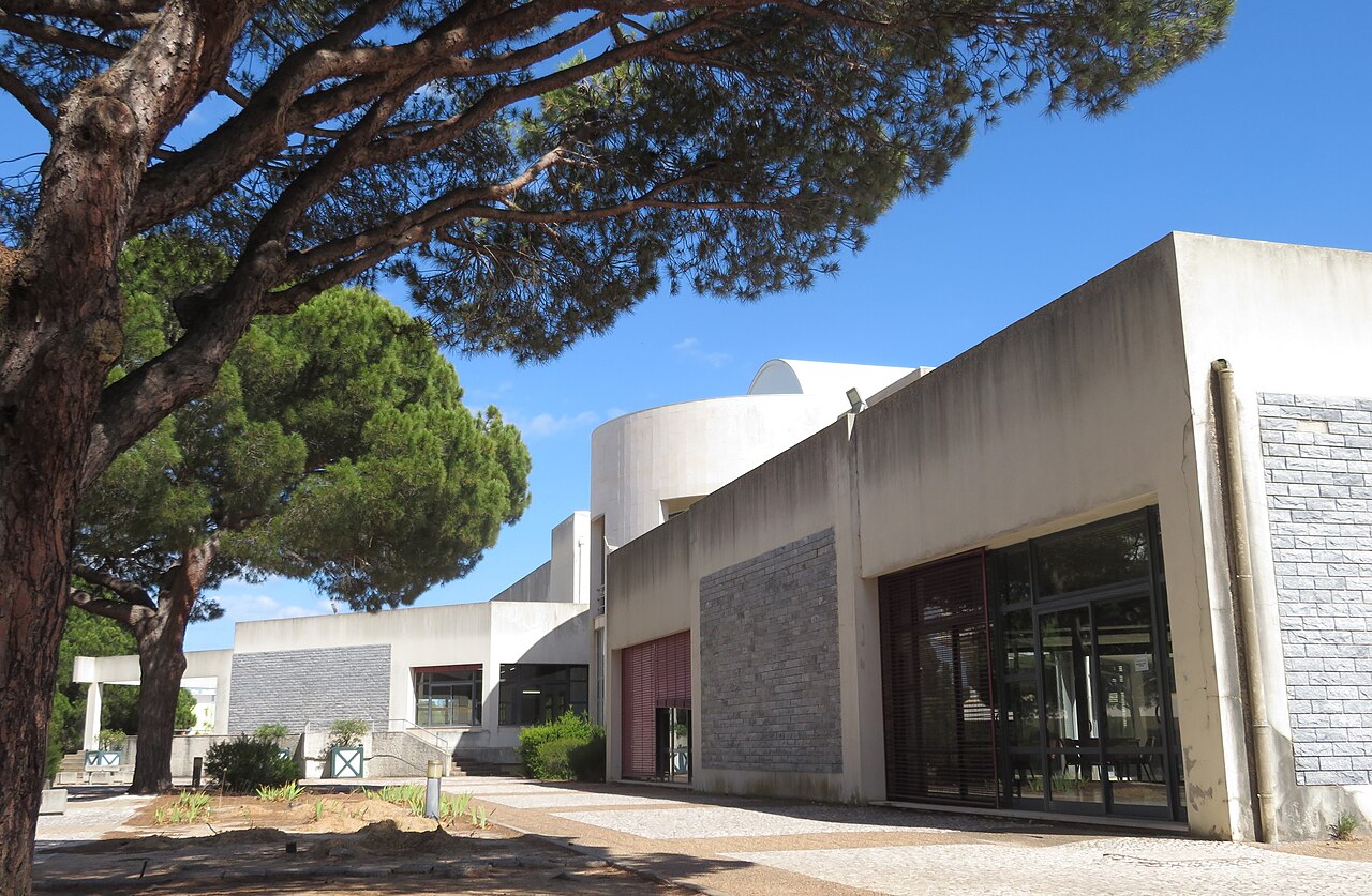 University of Algarve