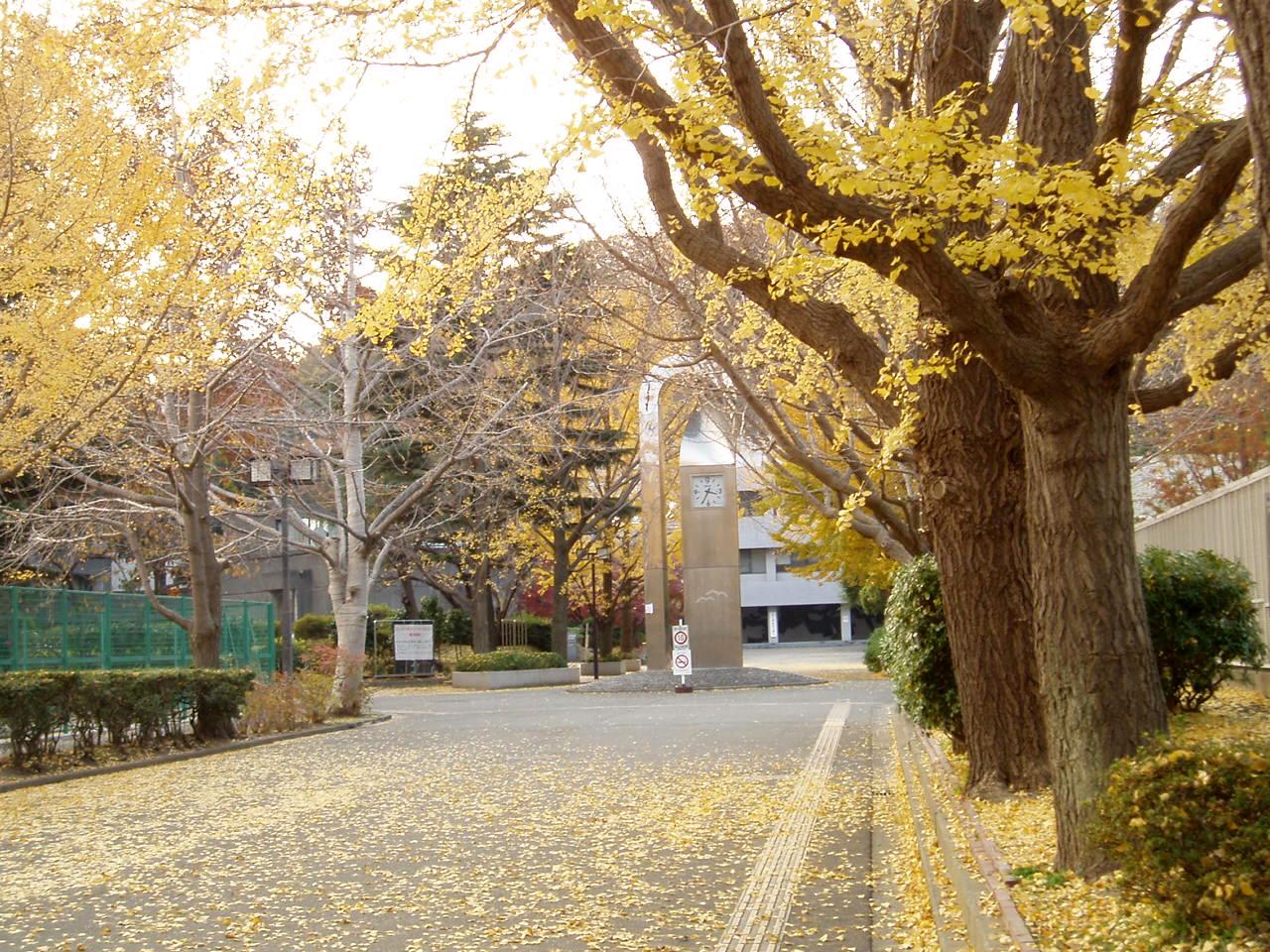 Yokohama-City-Univ-KanazawaHakkei-ClockTower01