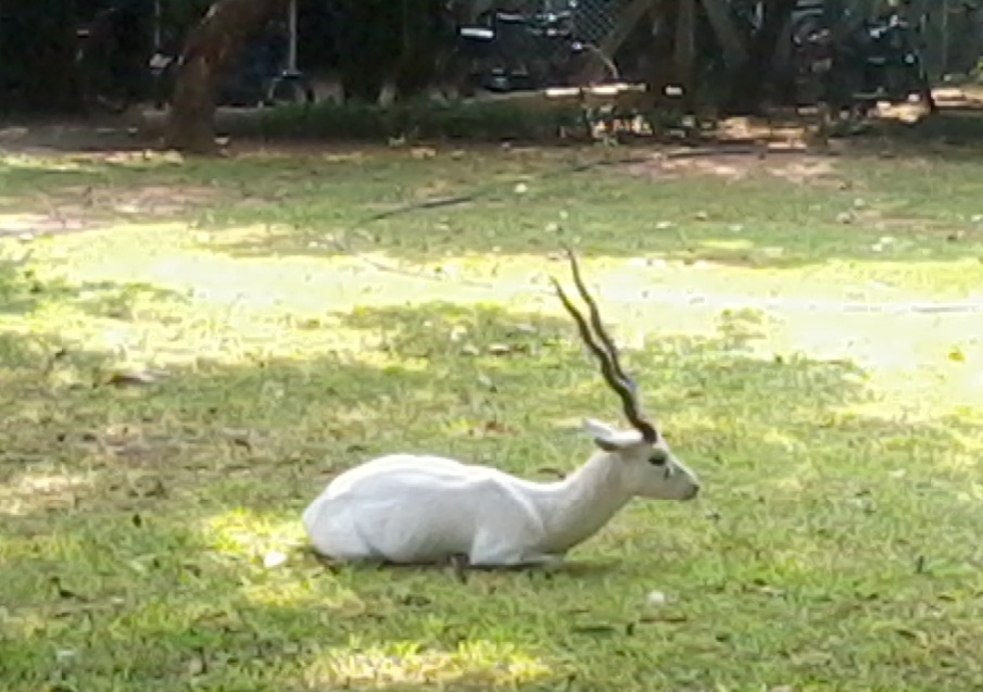 IIT Madras