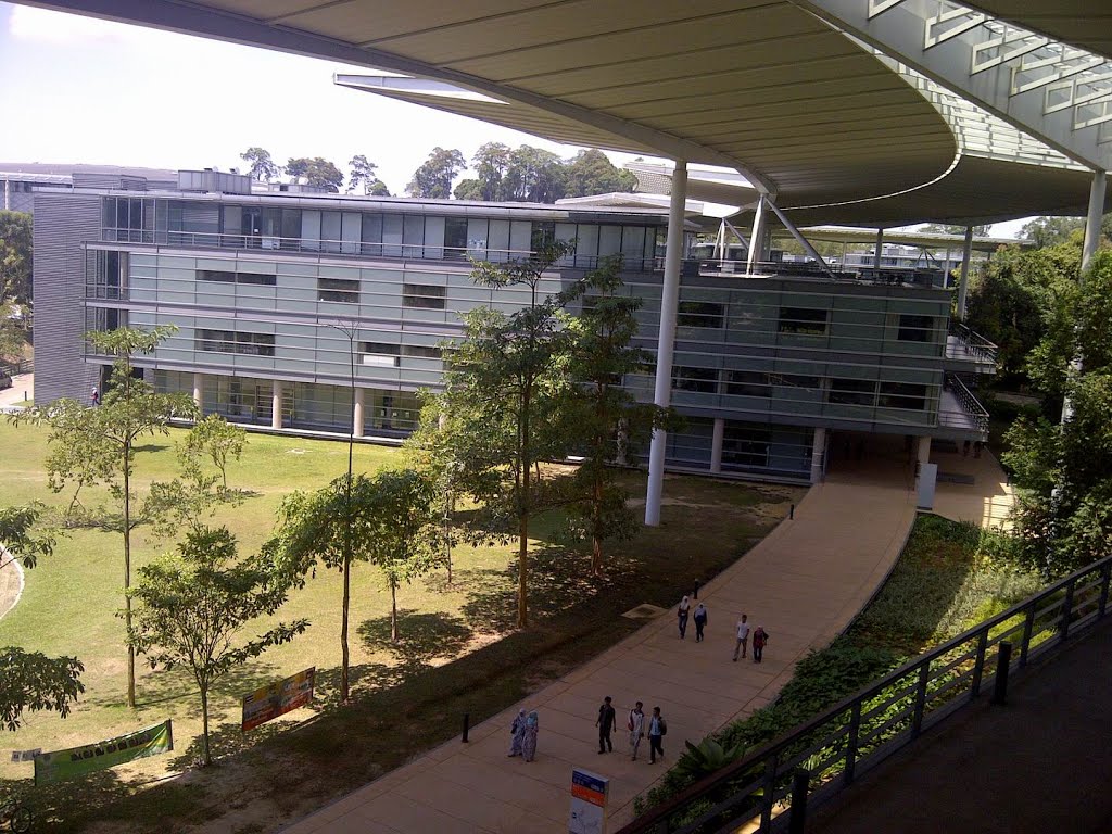 国油大学