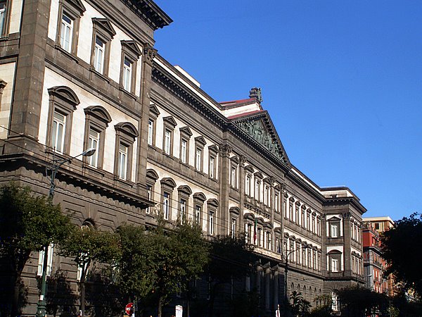 那不勒斯腓特烈二世大学