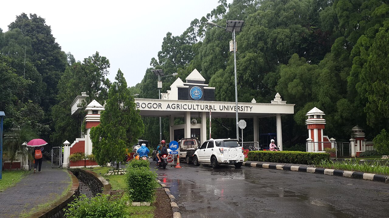IPB University