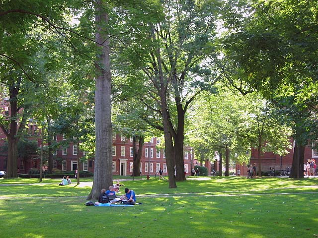 Harvard Yard, Dudesleeper