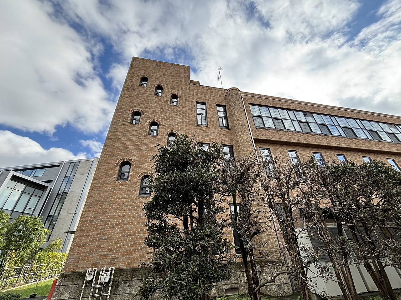 东北大学 (日本)