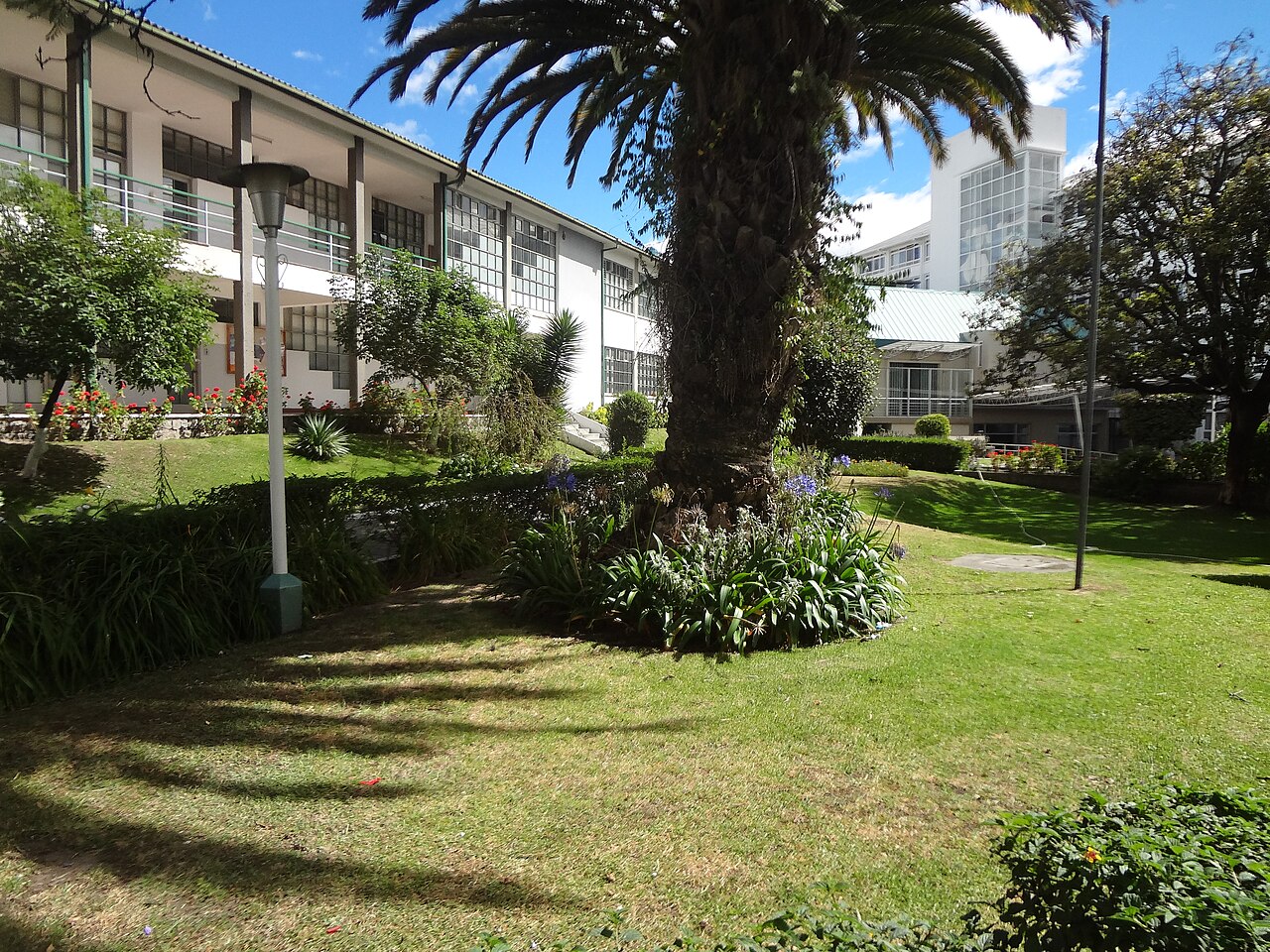 Pontifical Catholic University of Ecuador