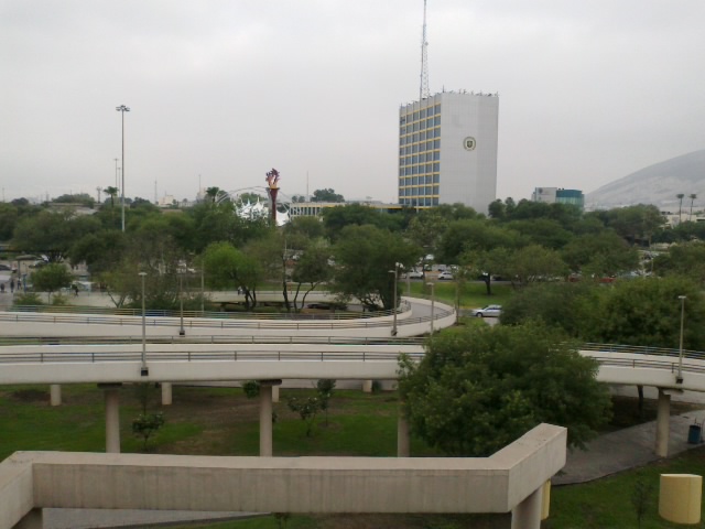 新莱昂自治大学