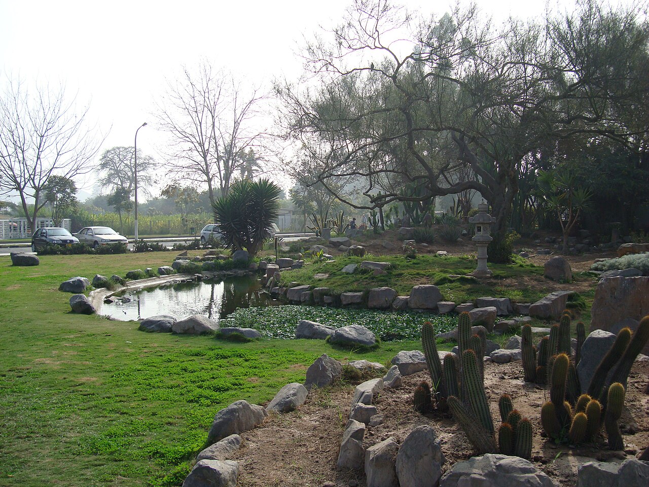 Lagunilla