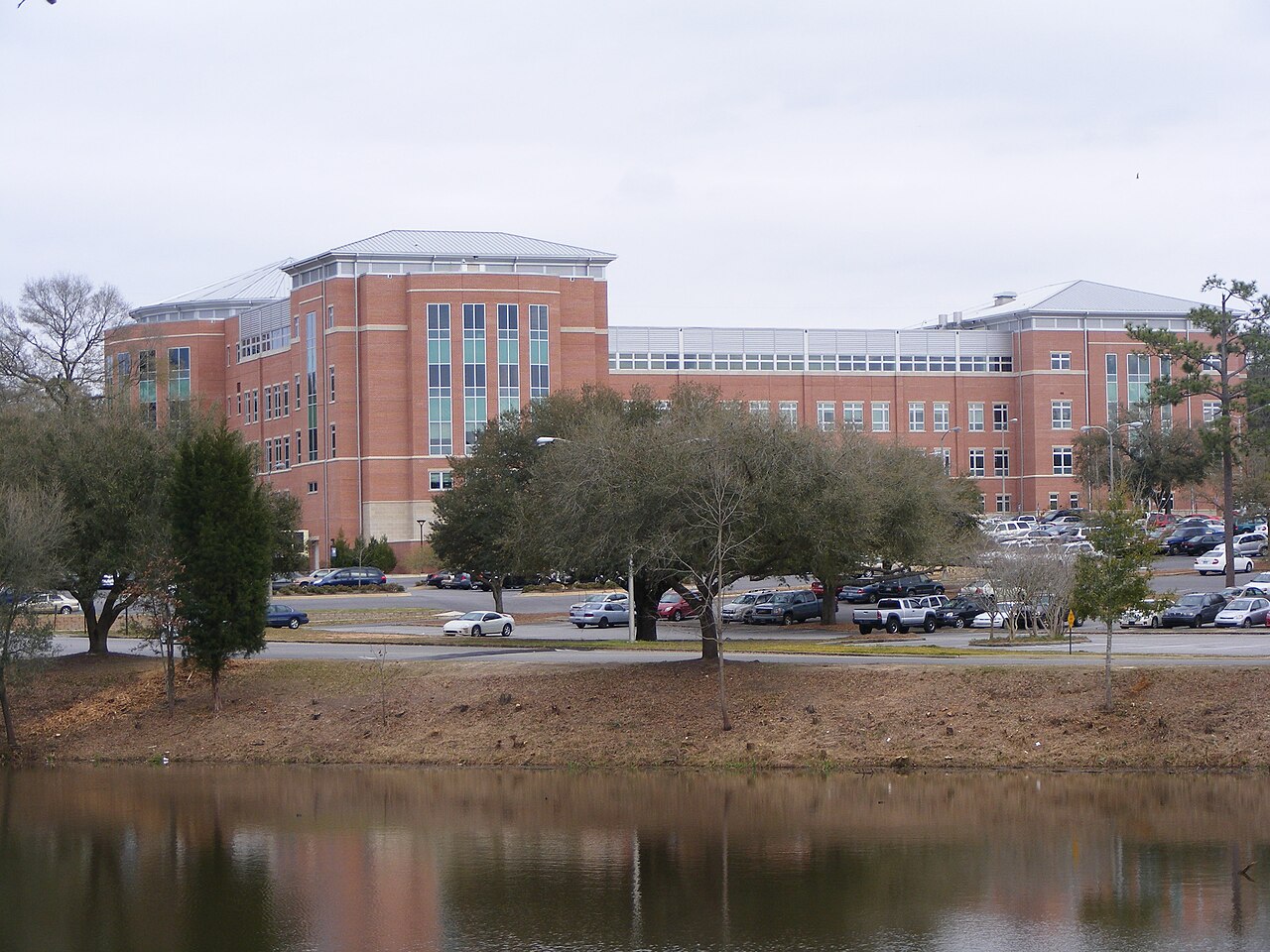 AlliedHealthNursing