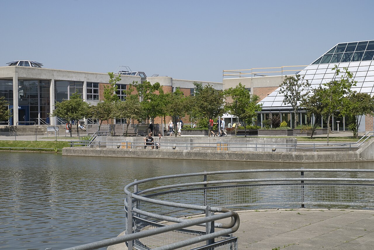 Aalborg University summerlake
