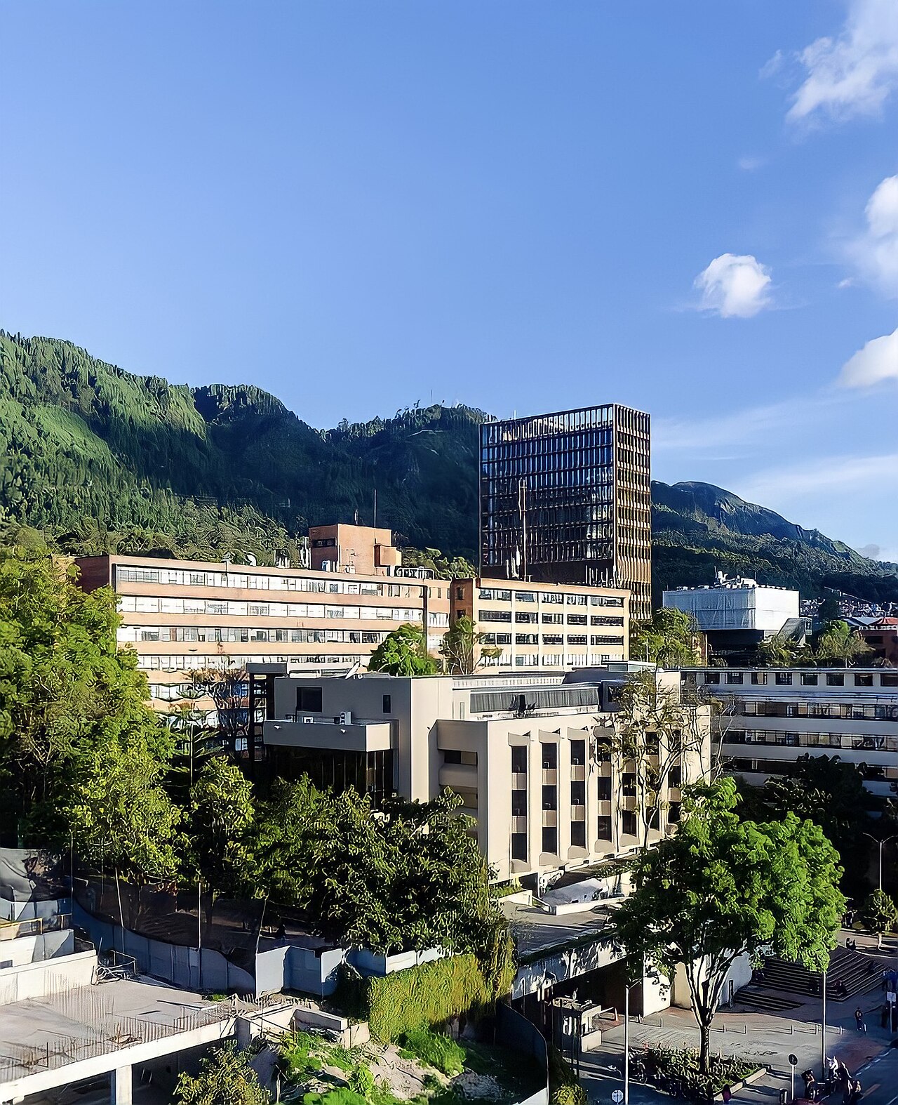 P.javeriana