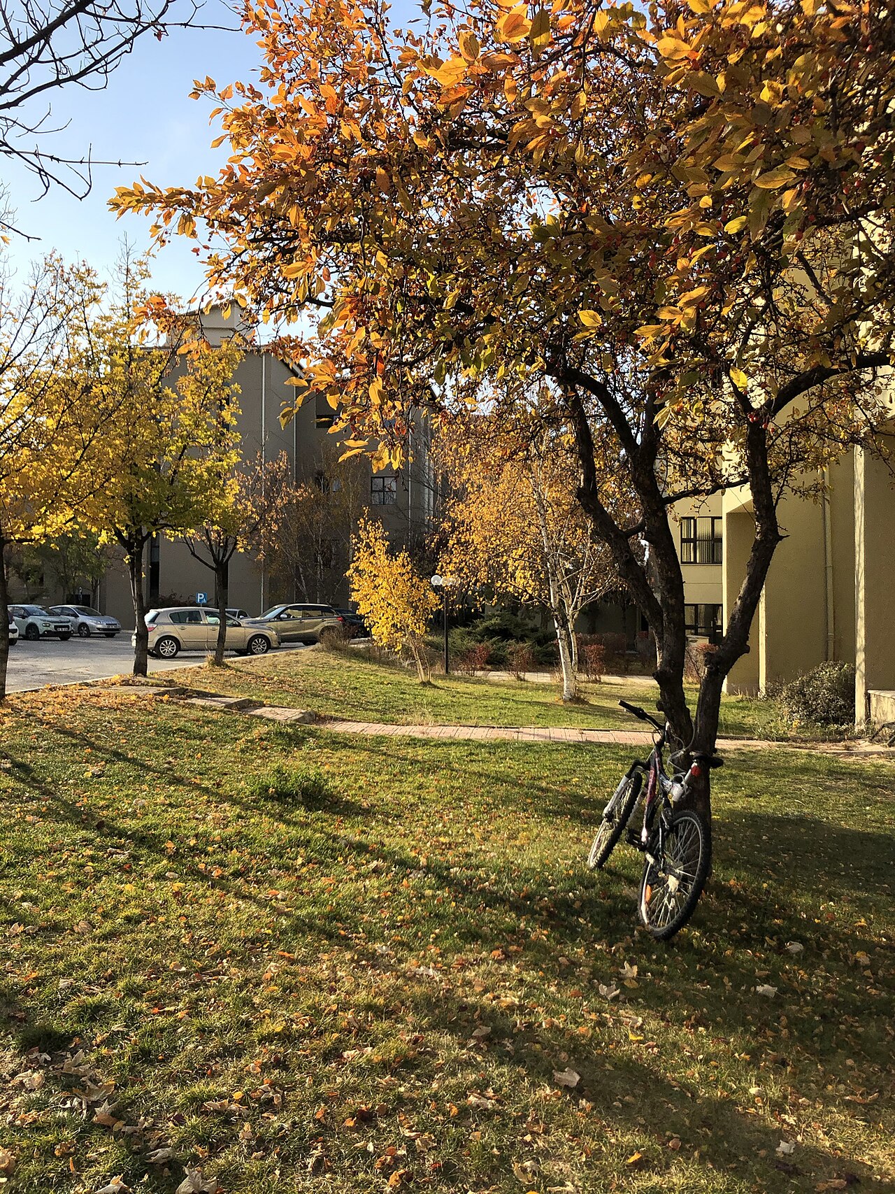 Bilkent fall - 2020