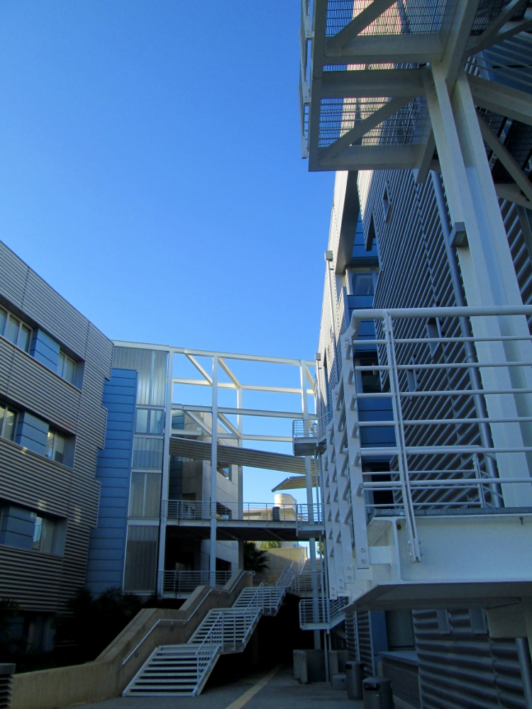 University of Cyprus