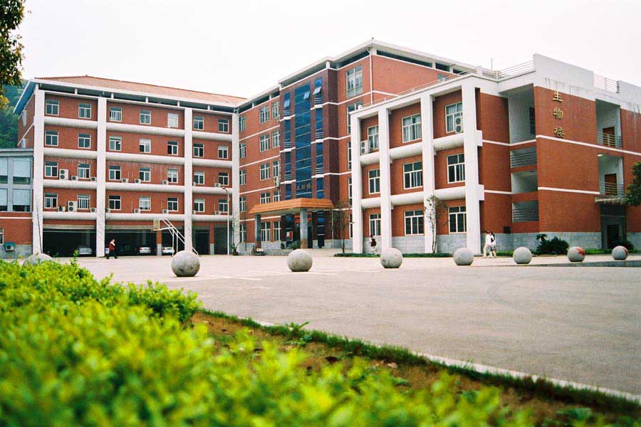 Peace Piazza, Central South University (Changsha, Hunan Province)