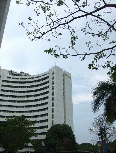 Suan Dok
