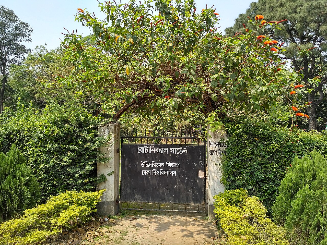 Botanical Garden, Department of Botani, University of Dhaka.