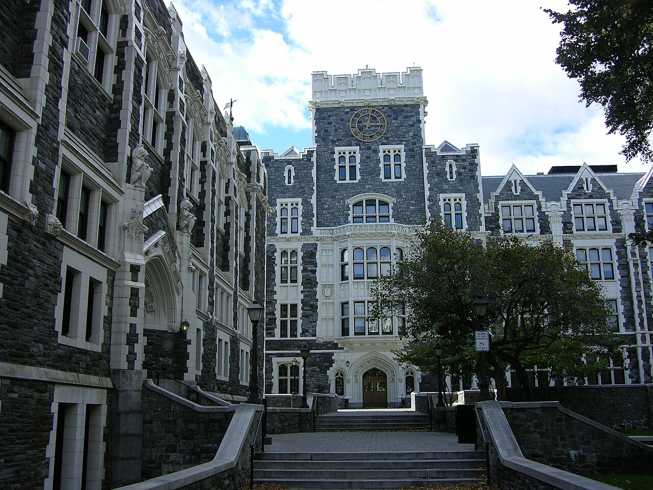 纽约市立大学