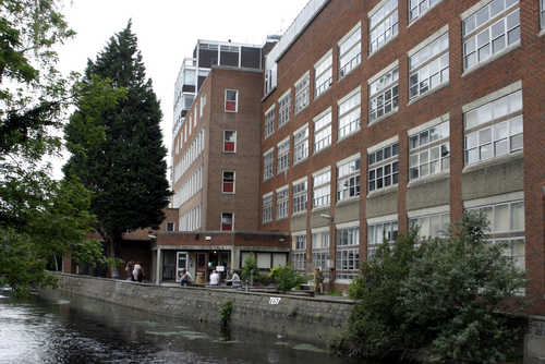 金士頓大學