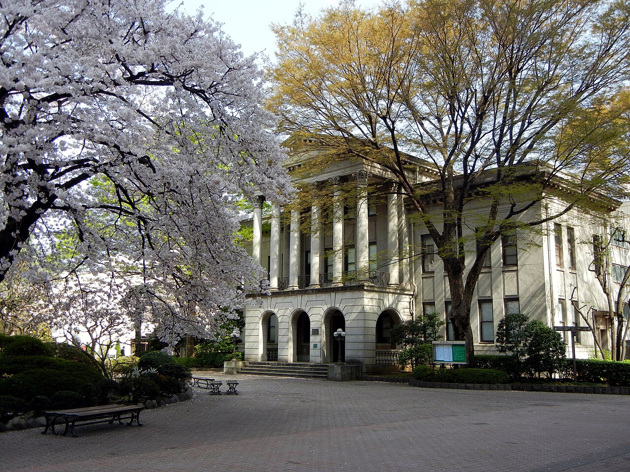 青山學院大學