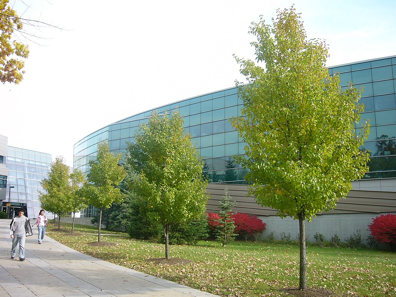 宾汉姆顿大学