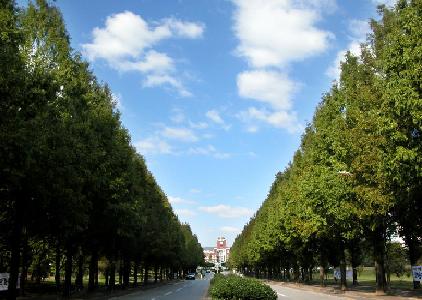 CNU Main Gate