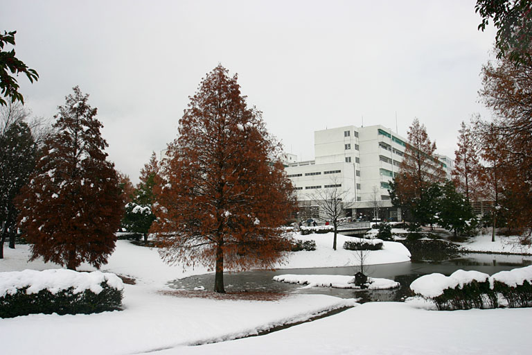 Gifu University