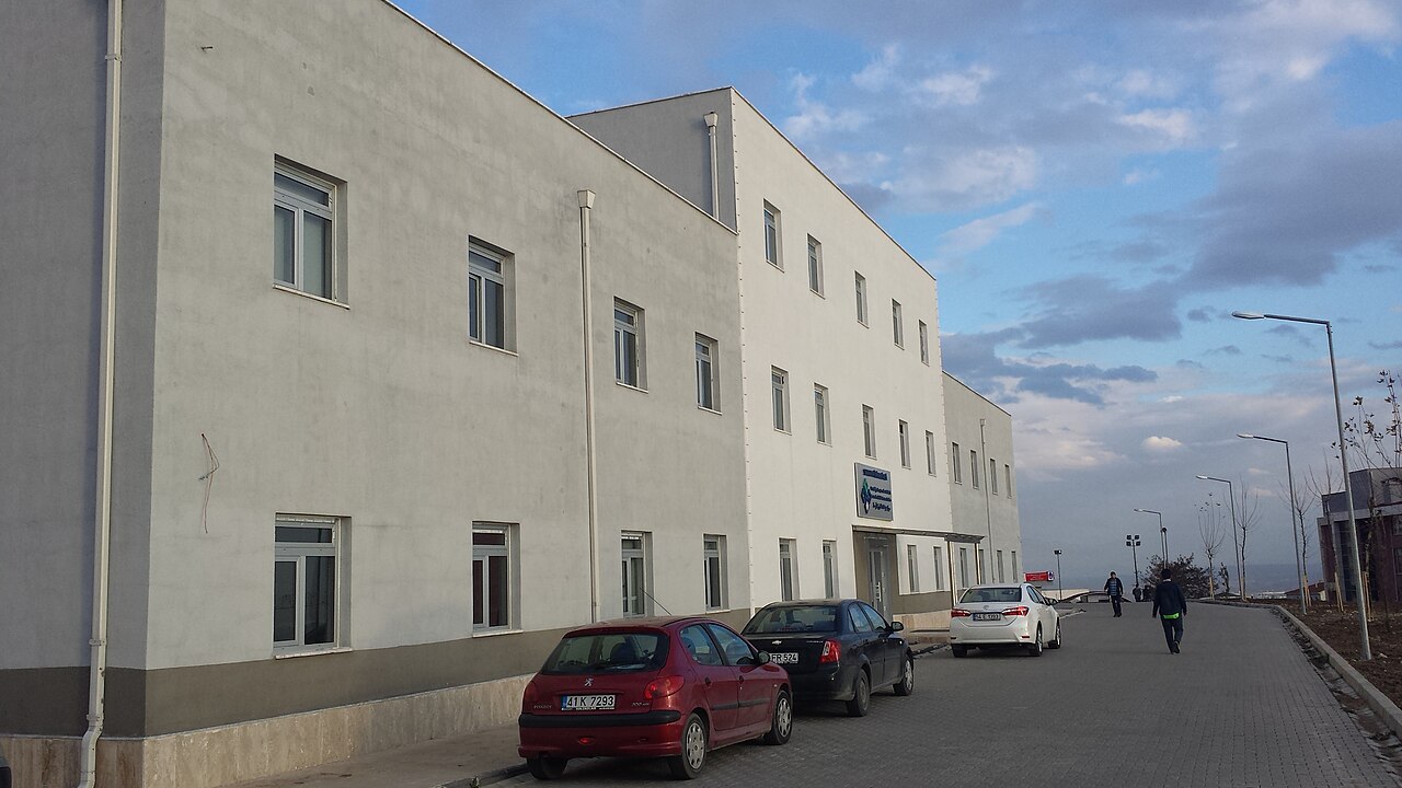 Sakarya University