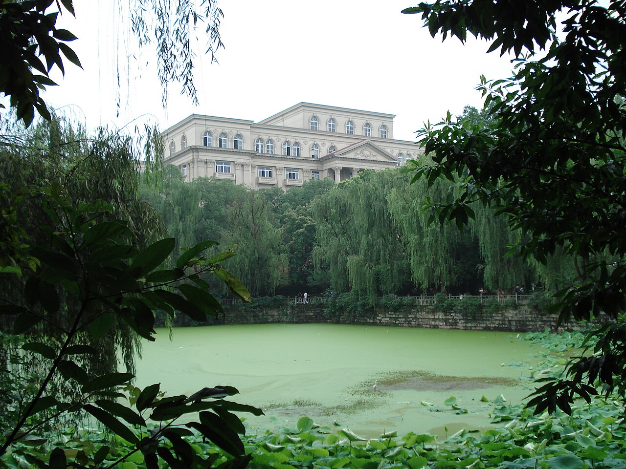 Swu 33jiao