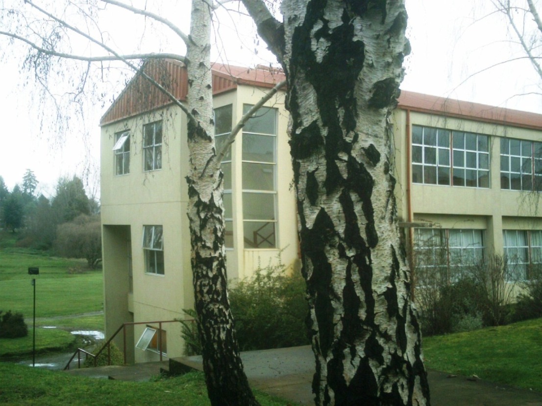 UACh-Edificio Nahmias y Abedul