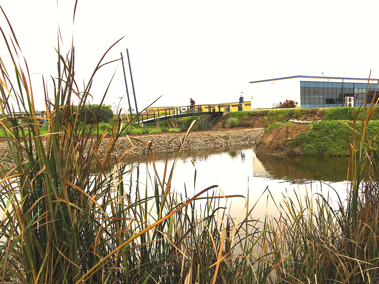Scientific University of the South
