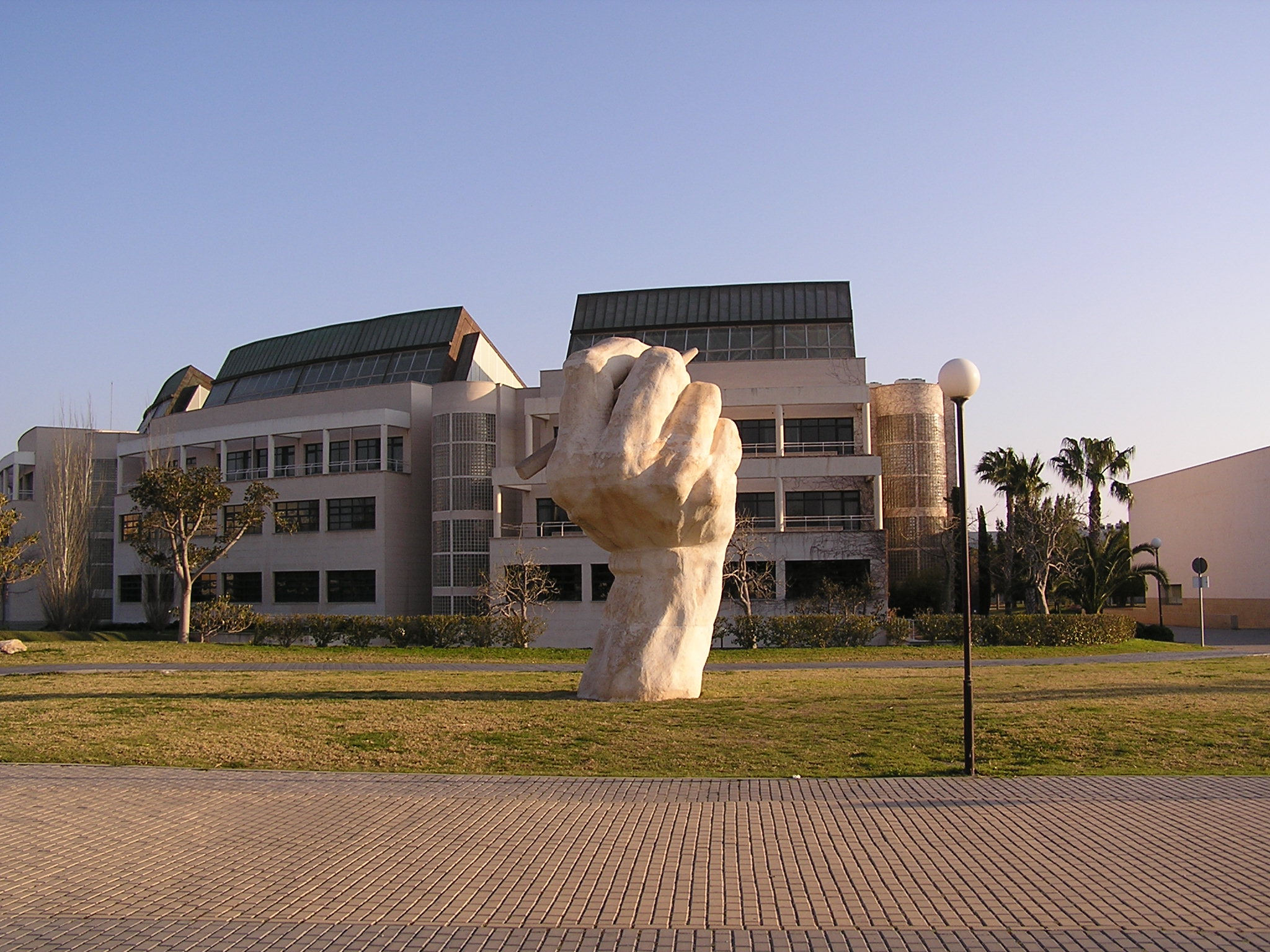 阿利坎特大学