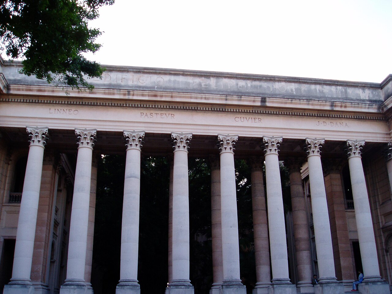 Facultad de fisica de UH