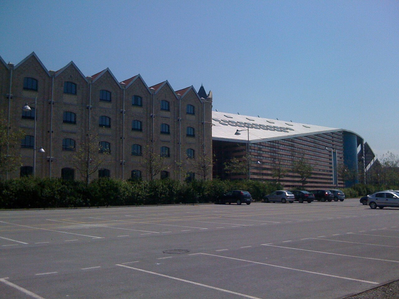 滨海大学