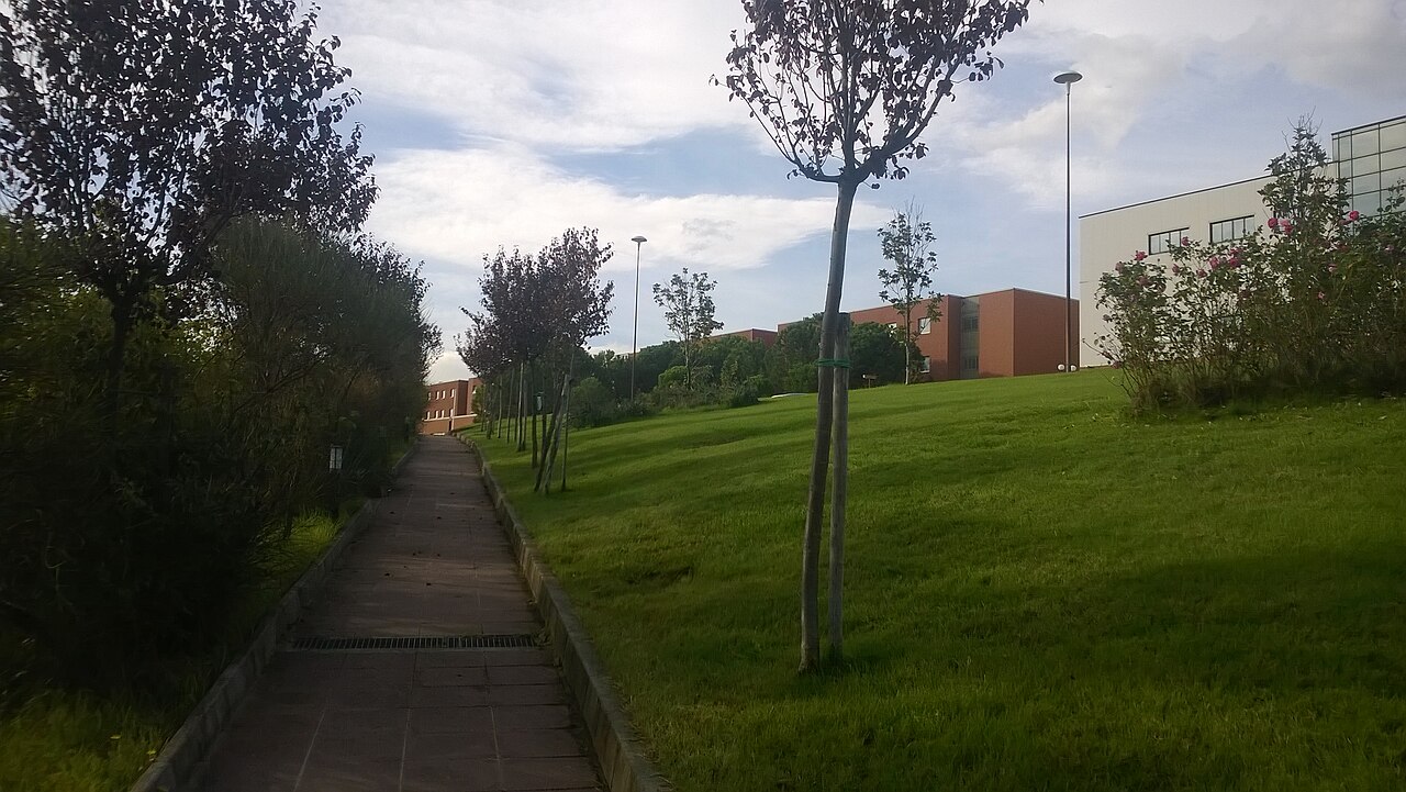 Unical-viale