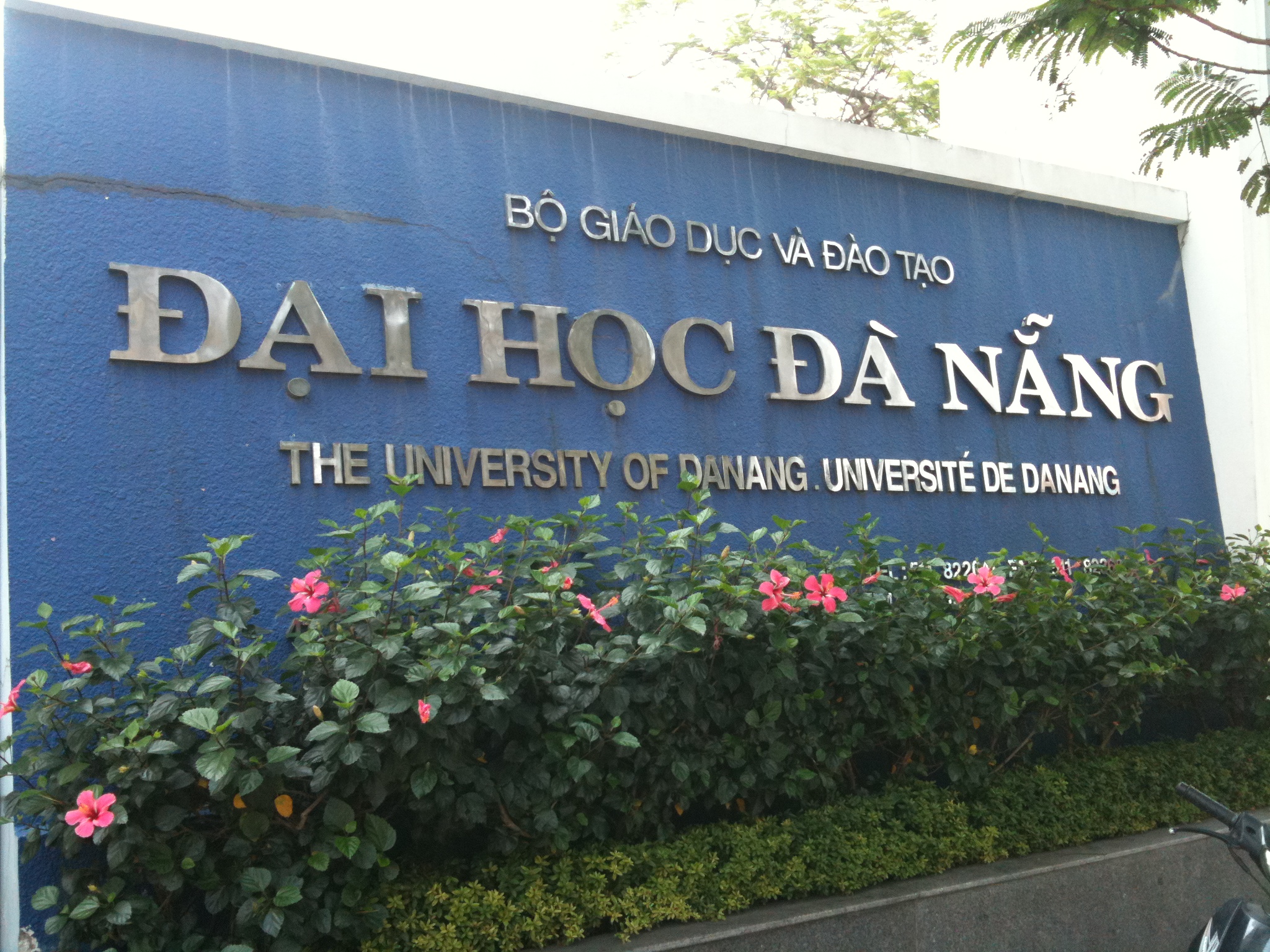峴港大學