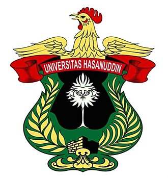 哈山努丁大学