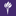 New York University (NYU)